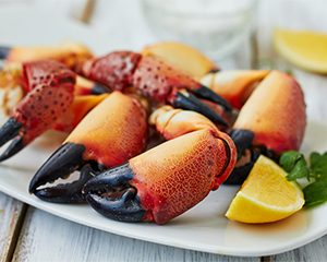 Stone crabs with lemon on white plate
